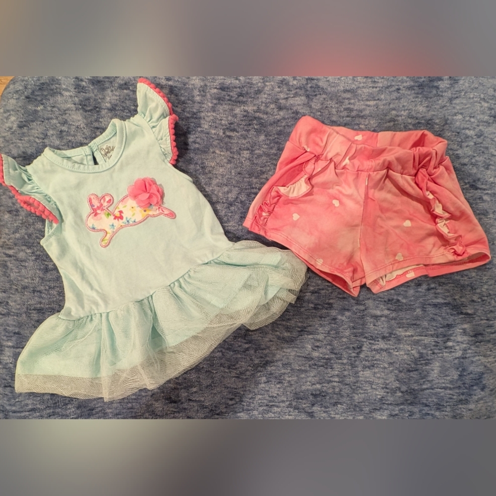 24M Cute Blue and Pink Toddler Outfit